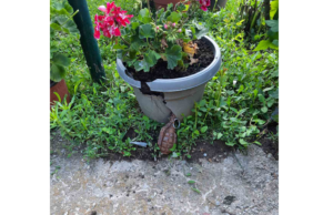 Bačena bomba Selo Mogila