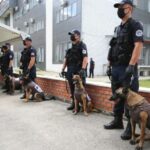 Kosovska policija službeni psi