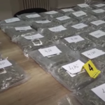 Zaplenjeno 120 kilograma marihuane kod Smedereva Zaplenjena marihuana 120 kilograma Smederevo