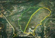 The enigma of 80ha of expropriated land in Leposavic