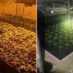 Nova laboratorija droge otkrivena tik uz ogradu suda i zatvora u K. Mitrovici, uhapšena jedna osoba Droga svećlja