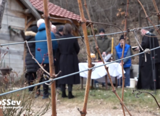 Vinogradari u Leposaviću proslavili Svetog Trifuna: Vraćaju se tradiciji i nadaju se rodnoj godini Vinograd Sveti Trifun