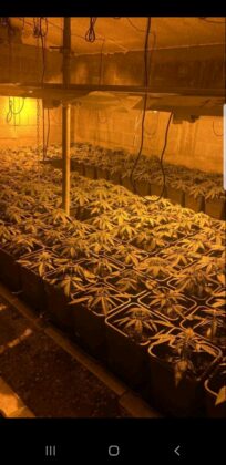 policija droga mitrovica laboratorija