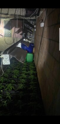 policija droga mitrovica laboratorija