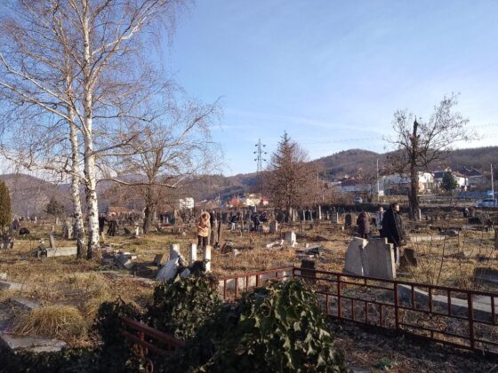 Groblje južna mitrovica