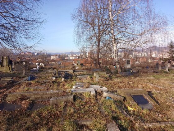 Groblje južna mitrovica