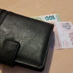 CBK objavila uputstva za prilagođavanje na Uredbu o evru: Lakše otvaranje računa, više ekspozitura i bankomata, povoljan kurs… novčanik evro dinar