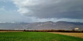 Lažnim ovlašćenjem prodala stričevu zemlju za 150.000 evra, uhapšena zbog sumnje na prevaru