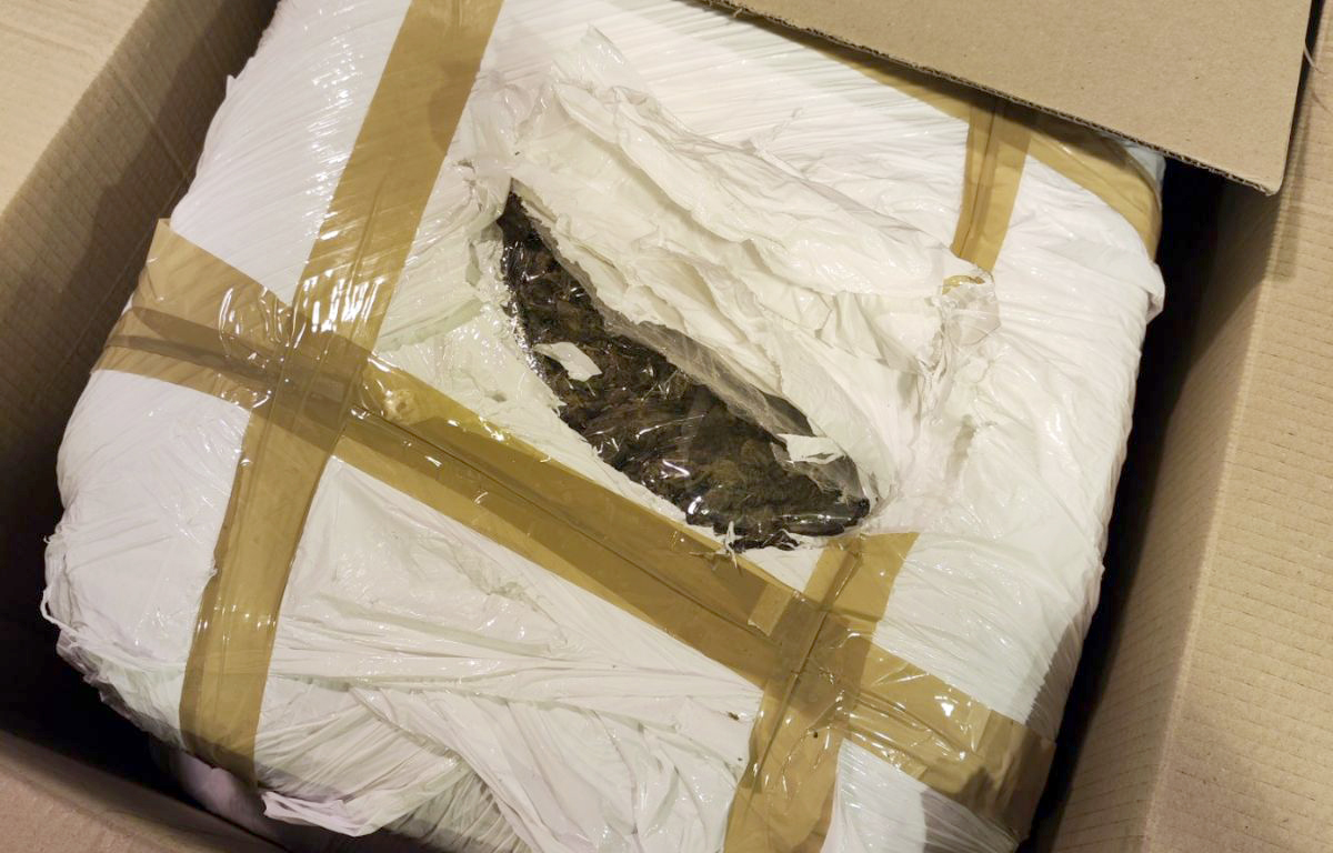 MUP Srbije: Više od 60 kilograma marihuane zaplenjeno u protekla dva dana u SrbijiDroga marihuana