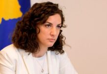 Rizvanoli: Tražimo od Srbije da ispuni obavezu otvaranja prekograničnih energetskih kapaciteta Artane Rizvanoli Rizvanolli