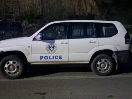 Leposavić: Osumnjičenoj za napad nožem na trogodišnje dete određen pritvor od 30 dana kosovska policija noć