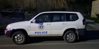 Leposavić: Osumnjičenoj za napad nožem na trogodišnje dete određen pritvor od 30 dana kosovska policija noć