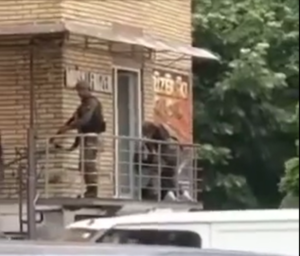 Hapšenje MM Mitrovica