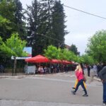 Iz apoteke „Moć prirode“ u Zvečanu ukradeno 3.170 evra, lopov ušao kroz prozor