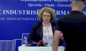 Rozeta Hajdari Konferencija