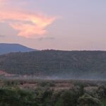 Treći dan požara na Jalovištu, večeras manje dima, vatrogasci uveravaju da je situacija pod kontrolom Požar jalovište
