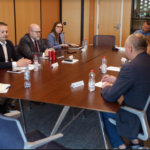 Hovenier: The issue of responsibility does not end with Radoičić’s statement, his actions do not necessarily discredit SL