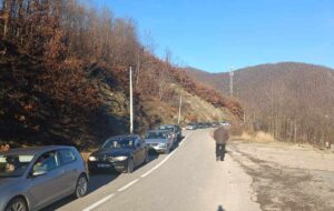 Brnjak gužve
