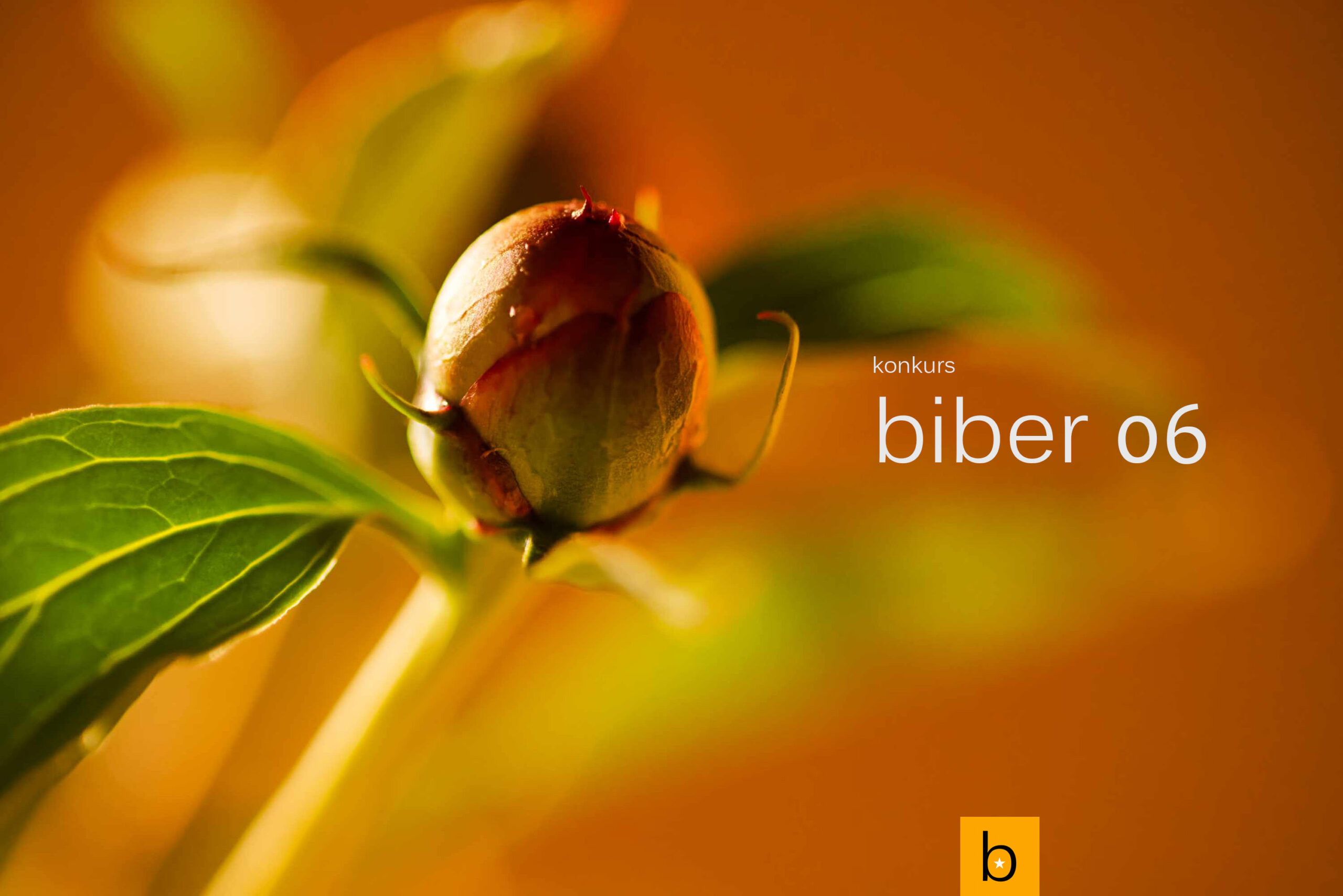 Biber konkurs