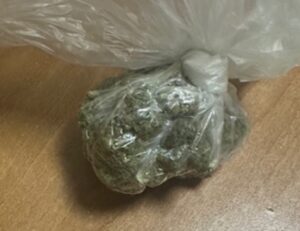 Marihuana droga u predelu intimnih delova tela Vrbnica prelaz