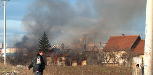 pogrom svinjare