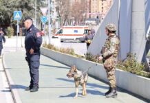 Are the Kosovo media repeating the mistakes of 2004? KFOR na mostu