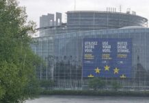 Paljokaj o izveštaju EP: Podrška evropskom putu i nezavisnosti Kosova, zabrinutost zbog političke polarizacije Evropski parlament
