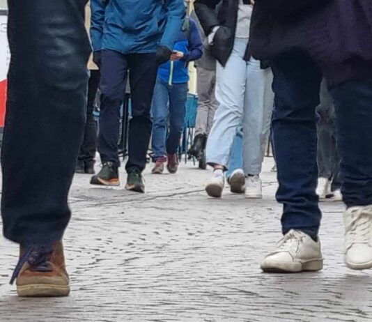 Izveštaj sa poslednjeg popisa: Stopa nezaposlenosti na Kosovu 13,9%