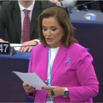 Bakojani u PSSE: Obavezali smo PR da se eksproprijacija imovine vrši uz poštovanje zakona i zaštite imovine SPC Dora Bakojani