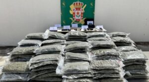 Marihuana zaplena Španija