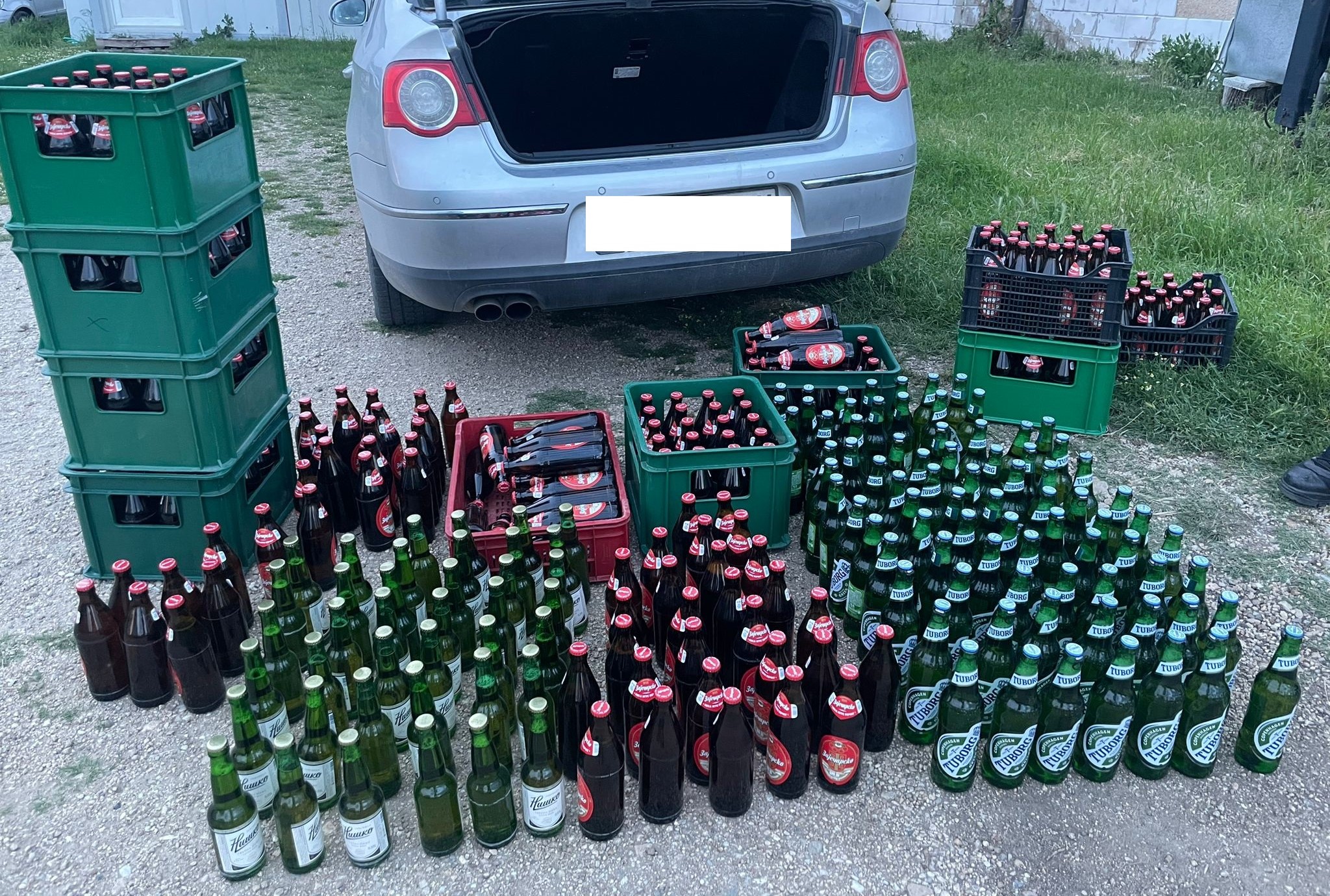 Zaplena pivo