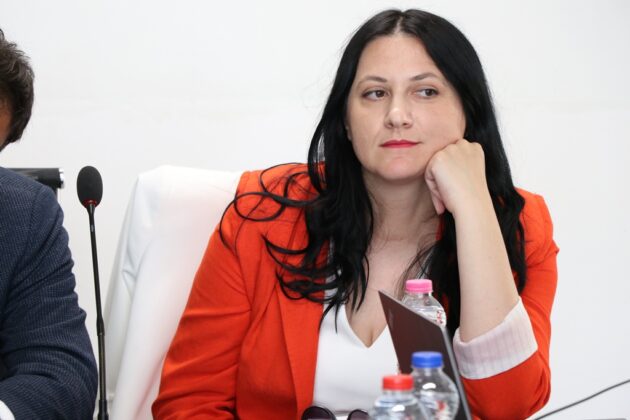 Zorica Vorgučić Barabar centar KoSSev događaj