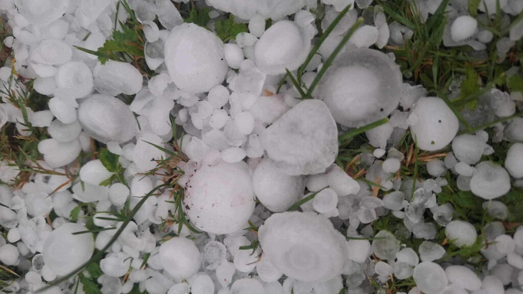 Olujno nevreme poplavilo domaćinstva i uništilo poljoprivredne kulture