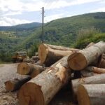Kamion sa drvima za ogrev zaplenjen kod Prištine, sumnja se na krijumčarenje iz centralne Srbije