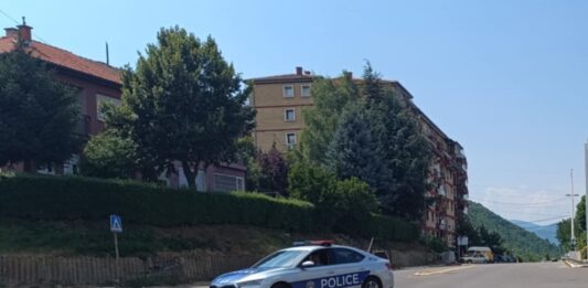 Kosovska policija / Ilustracija
