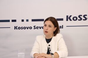 NGO Executive Briefly Detained for Alleged Jovana Radosavljević