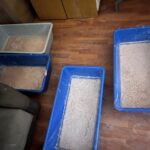 Otkrivena laboratorija za kokain i heroin u Prištini; Svečlja o ratu protiv droge: Kriminalcima je mesto iza rešetaka Kokain prerada laboratorija u Prištini