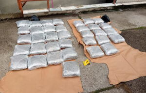 Hapšenje u Beogradu, pronašli mu 40 zaplena marihuane 40 kg marihuana