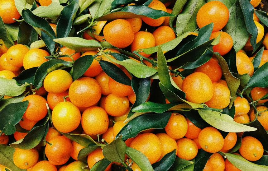 Nekoliko zemalja EU vratilo mandarine uvežene iz Albanije - sadrže opasne pesticide