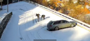 KP istražuje ispisivanje UČK u snegu