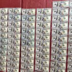 Peć: Pokušao da isplati dug lažnim američkim dolarima Lažni američki dolari