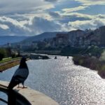 When March 17 Became the Symbol of the Uprising Against UNMIK