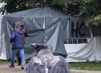 Jedanaesti napad na novinare u Ćacilendu – brutalno pretučen novinar Neven Krstić i njegov kamerman