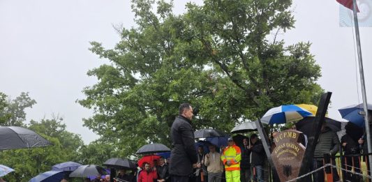 FOTO: JUG PRESS/ Lješi