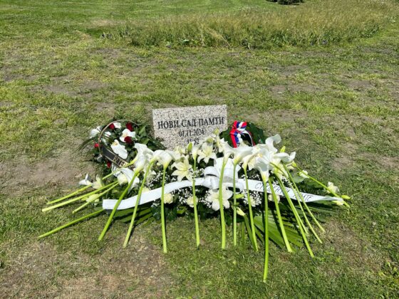 FOTO: Novi Sad/ nadstre&scaron;nica/ Ljubazno&scaron;ću Sta&scaron;e Kene&scaron;ki