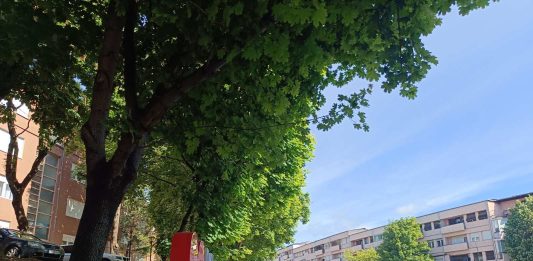 Kralja Petra, Kosovska Mitrovica