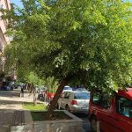 Another Sexual Harassment Case Reported in North Mitrovica Kralja Petra, Kosovska Mitrovica