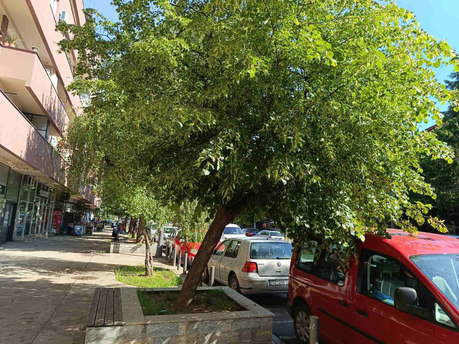 Another Sexual Harassment Case Reported in North Mitrovica