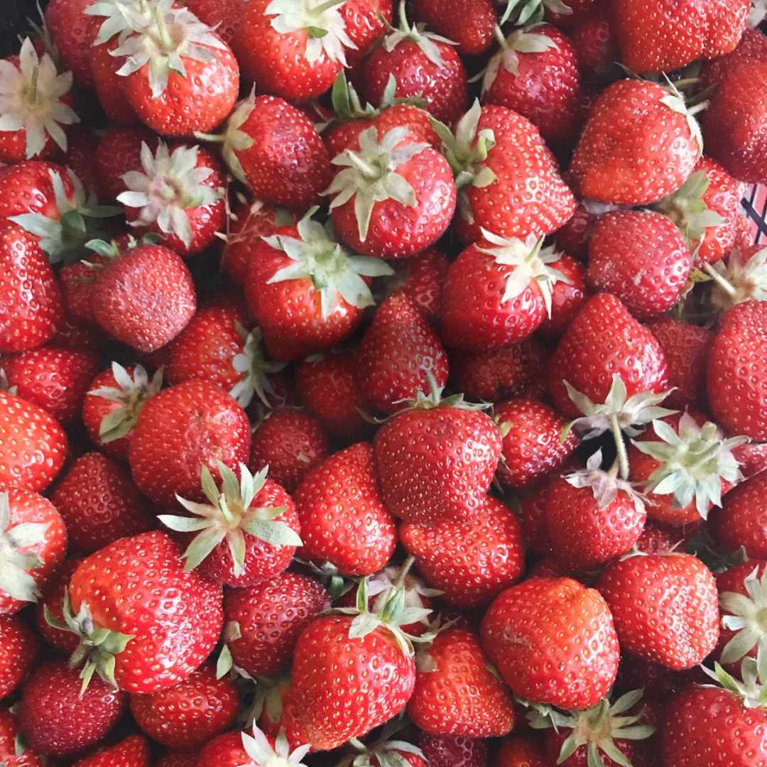Jagode iz Srbije u kojima su Belgijanci našli pesticide potiču iz Albanije - deo voća još na srpskom tržištu
