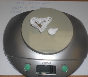 Korektivna služba Kosova Droga